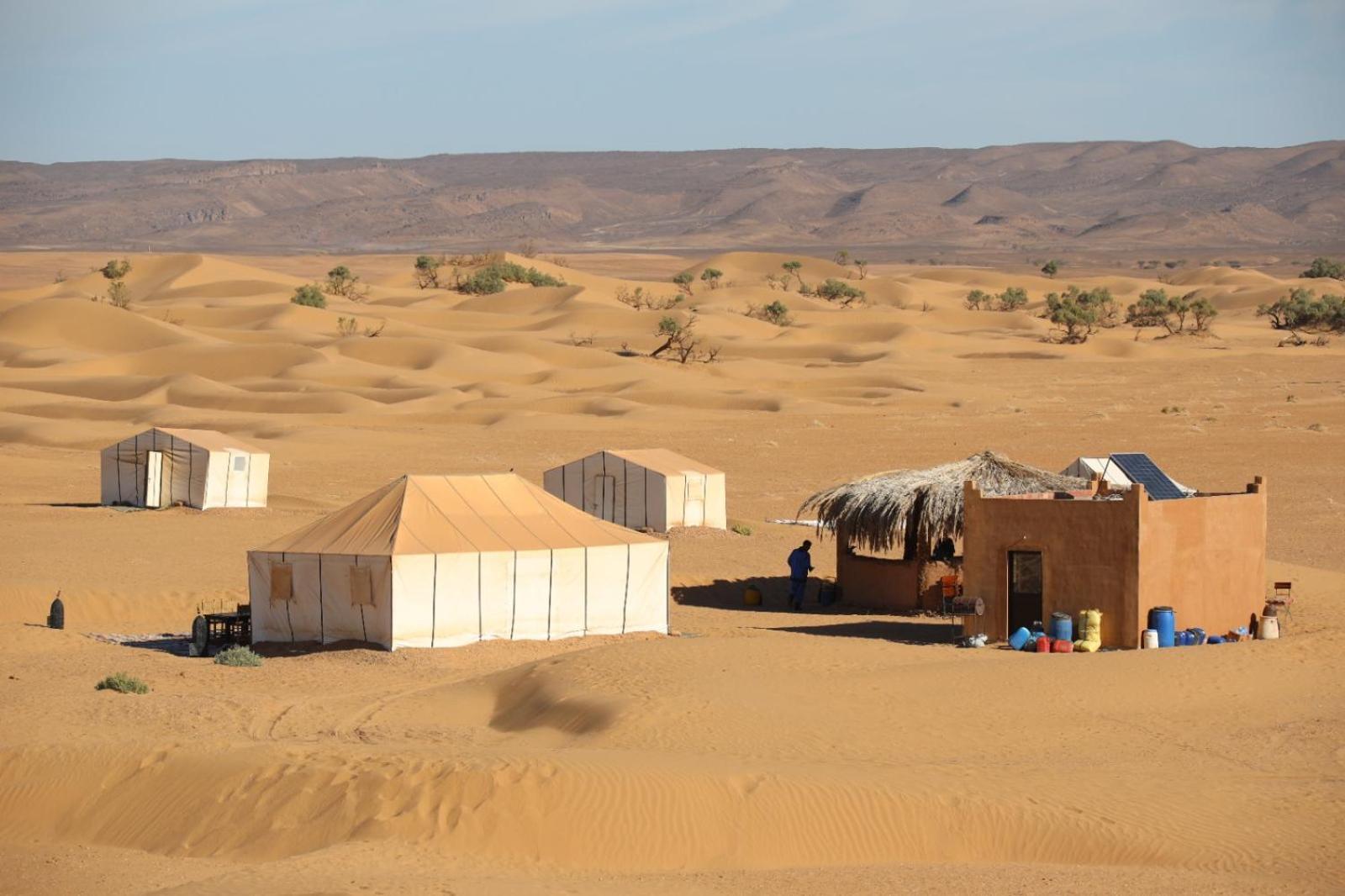 Majorelle Desert Camp Zagora Exterior foto