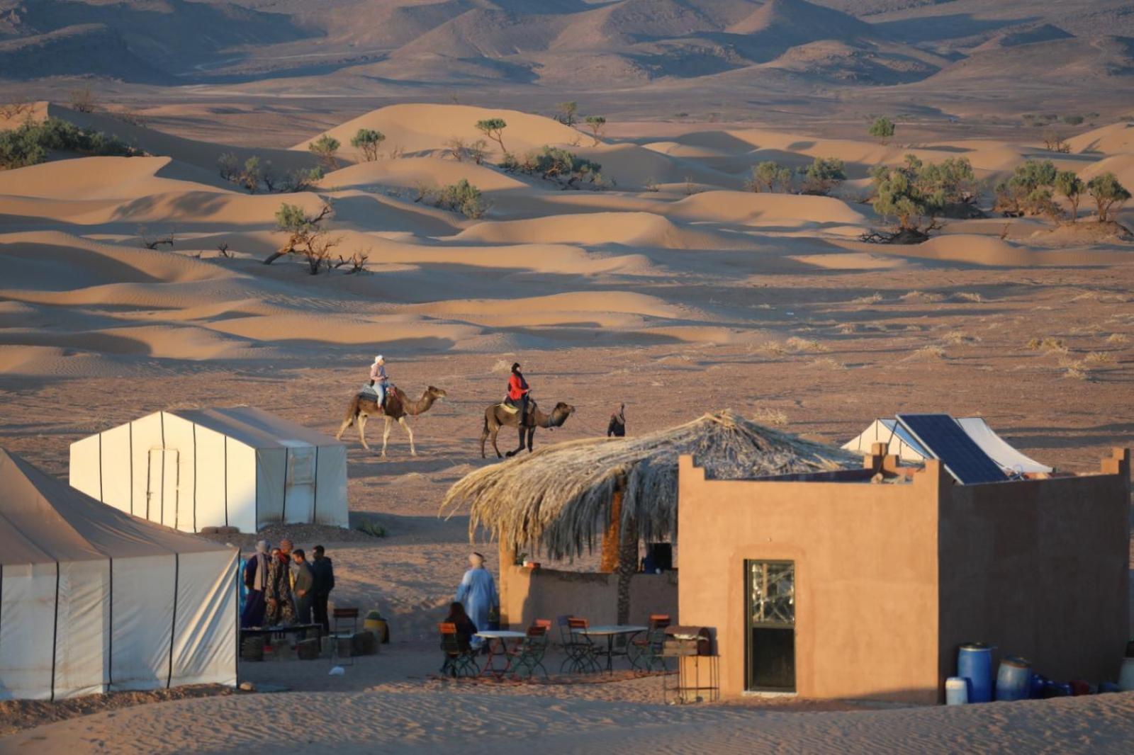 Majorelle Desert Camp Zagora Exterior foto